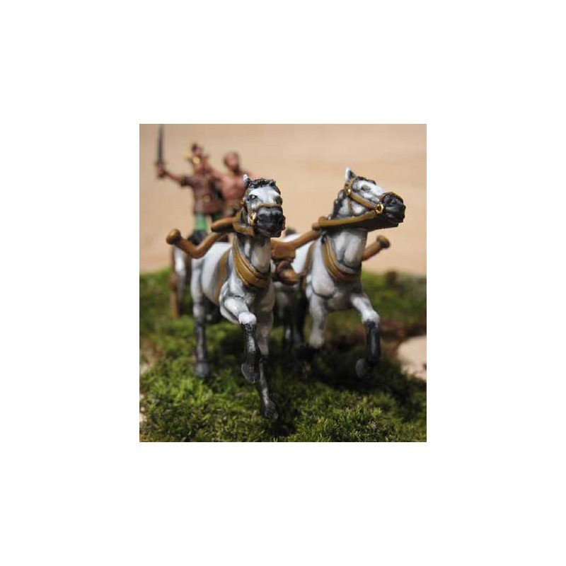 Celtic carriage figurine 1/72 | Scientific-MHD