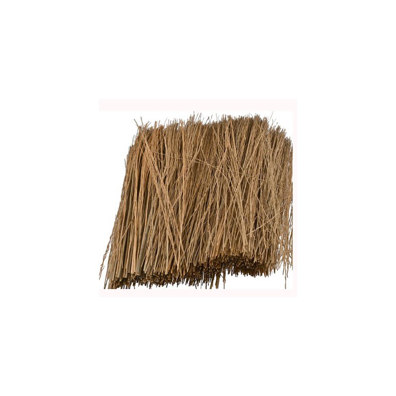 Golden Paturage grass 15g | Scientific-MHD
