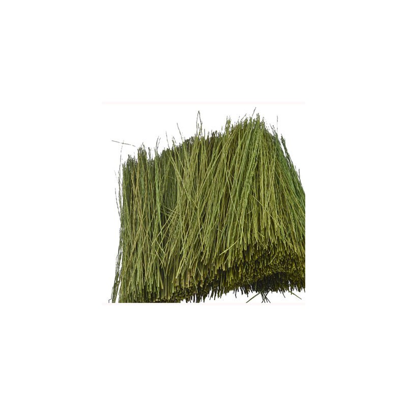 Light green Paturage grass 15g | Scientific-MHD