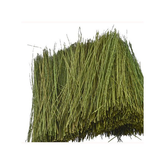 Light green Paturage grass 15g | Scientific-MHD