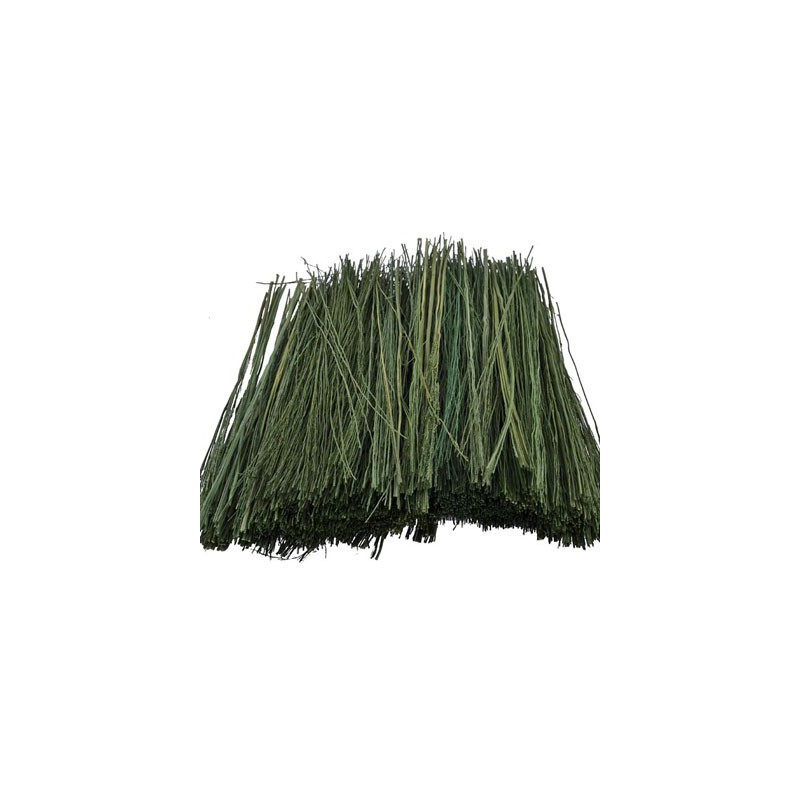 Dark green patege grass grass 15g | Scientific-MHD