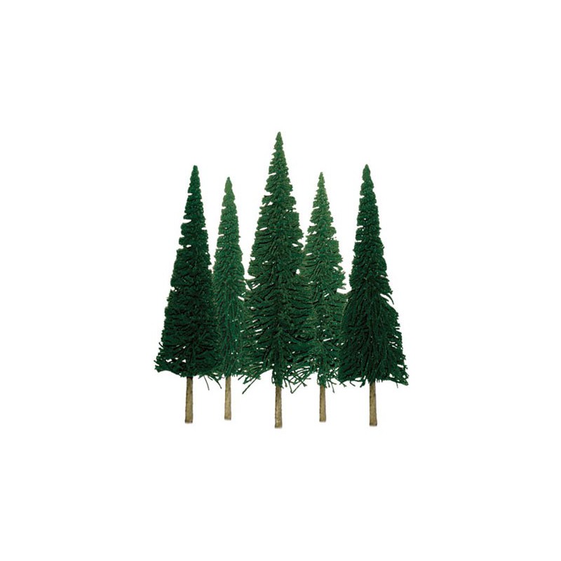 Sapins tree 100 to 150mm - Hole lade | Scientific-MHD