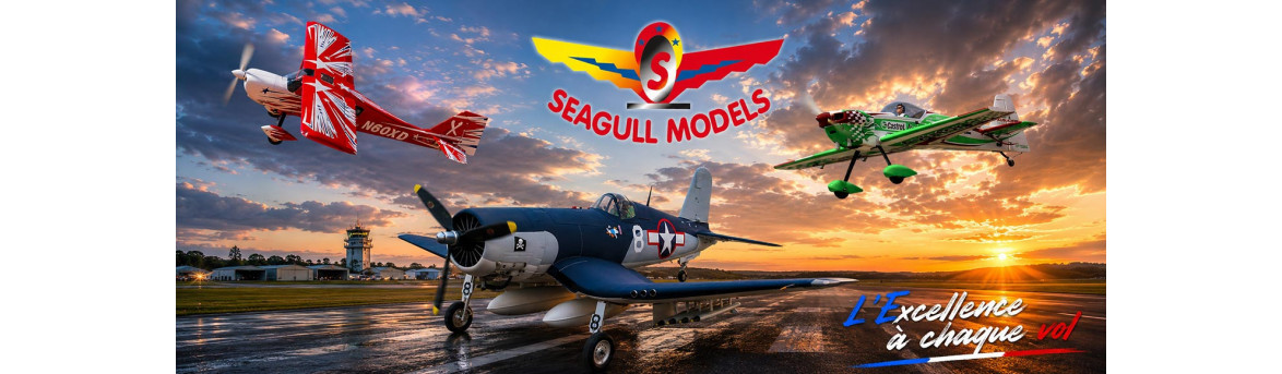 Electric and nitro remote control airplanes